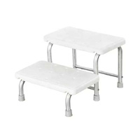 Steps Stainless Steel Frame Double Tread