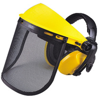 Maxisafe Mesh Visor & Earmuff Combo