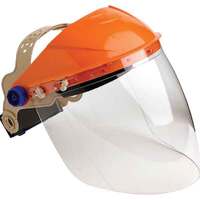 Browguard with Visor Clear Lens (Economy)
