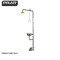 Combination Shower with Single Nozzle Eye Wash with Bowl & Foot Treadle