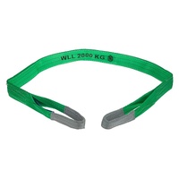 Sling Flat 8:1 WLL Polyester 2T 5.0m