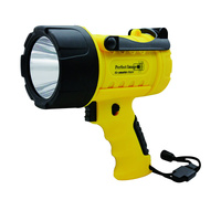 300 Lumen Waterproof Spotlight