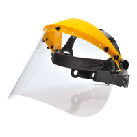 Portwest Browguard with Clear Visor Colour Clear Size