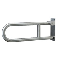 Swing up Grab Rail - Silver