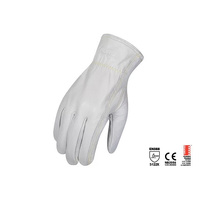 Force360 Endurance Certified Rigger 12 Pack