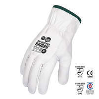 Force360 The Certified Cowhide Rigger 12 Pack